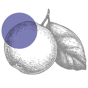 Plum icon
