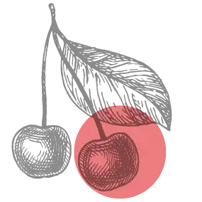 Cherry icon