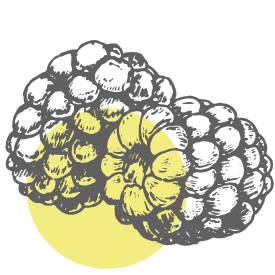 Blackberry icon