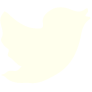Twitter icon
